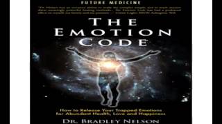 Brad Nelson The Emotion Code [upl. by Gine]