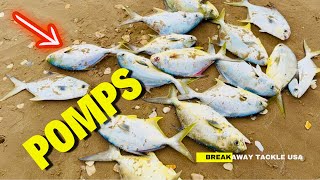 How to Catch Pompano From The Beach [upl. by Eleaffar193]