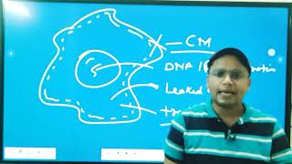 AntiProtozal drugs Introduction Classification Mode of action amp Use L8 Unit4 Medi Chem 6th sem [upl. by Anassor]