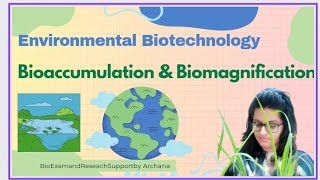 Bioaccumulation vs Biomagnification Clear Differences You Should Know ✍️ [upl. by Mellisent972]