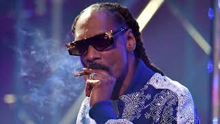 Snoop Dogg  Conflicted feat Nas remix 2023 [upl. by Pammi]