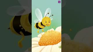 How do Bees Help in Pollination with Electricity Shorts [upl. by Ytisahc536]