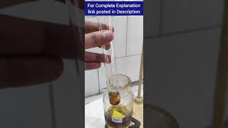 Phenol Reacts with Ferric Chloride  CBSE  NCERT Class 12 chemistry [upl. by Aenit]