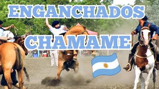 chamame enganchados muy buenos  jineteando  jineteadas 🐎🐂 🎤🇦🇷 [upl. by Adnoel756]