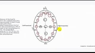 Understanding EEG Part 4 1020 electrode placement system used in electroencephalography EEG test [upl. by Aneeuqal314]