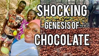 Travel Vlog in Ghana Cocoa Farming in the Eastern Region Extracting Cocoa Beans for Chocolate 🍫 [upl. by Filia]