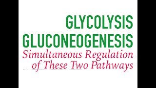 Glycolysis and Gluconeogenesis Regulation [upl. by Gillette535]