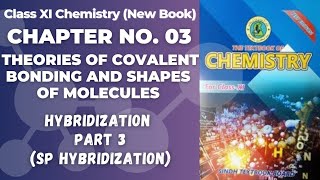 Ch 3 Hybridization  sp hybridization  Class 11 chemistry new book Sindh board [upl. by Inar186]