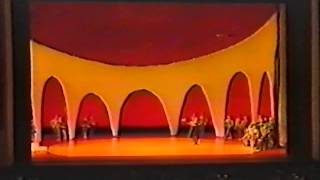 Alex Lapshin Video Don Quixote from Vienna State Opera Ballet 1992 [upl. by Aihsit]