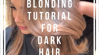 From Brunette to Blonde  Tutorial [upl. by Kenward]