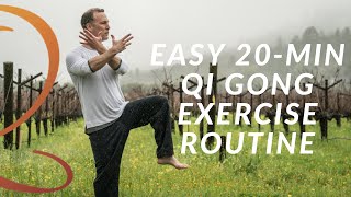 20Min Qi Gong Exercise Routine  Easy Home Workout with Lee Holden [upl. by Hewitt]