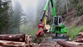 SENNEBOGEN 718 ESeries  Harvesting with Woody H61 Lau ForstserviceAustria [upl. by Weatherby845]