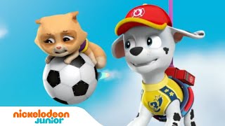 Paw Patrol  La Pat Patrouille  La Pat Patrouille joue au football   Nick Jr [upl. by Reichert]