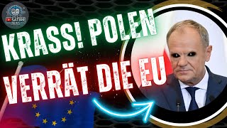 Migration Wie Polen vorangeht und Deutschland zurückbleibt [upl. by Yardna]