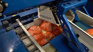 Stacking Bags of Carrots on a VPM10  Verbruiggen Palletizing Solutions [upl. by Aneleiram]