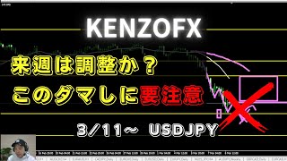 【KENZOFX】来週はこのダマしに要注意 2024年3月11日～ fx初心者 ドル円最新 チャート分析 [upl. by Iaoh]