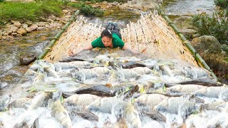 How To Make a Fish Trap In The Floating Season Harvesting Many Types Of Natural Fish In The Trap [upl. by Arikihs20]