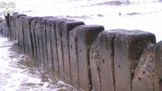 Am Strand von Westerland werden alte Buhnenreste entfernt [upl. by Lishe]