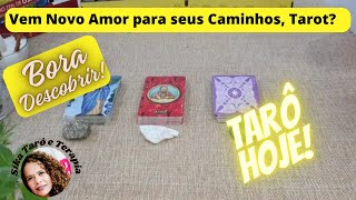 Vem novo amor para seus caminhos Tarot O que a cartomancia te revela [upl. by Bucher]