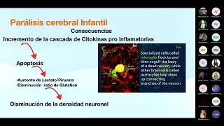 Restauración de ceguera cortical en niños con Parálisis cerebral infantil PCI [upl. by Mccallum]