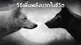 วิธีเพิ่มพลังบวกในชีวิต x ข้อคิดจากหมาป่าสีดำกับหมาป่าสีขาว [upl. by Ahsimot]