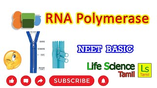 RNA POLYMERASE TRANSCRIPTION SITE [upl. by Grani]