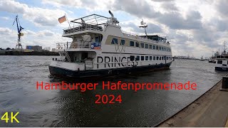 Hamburger 🛟🚢 Hafenpromenade 2024 4K [upl. by Ellesig479]