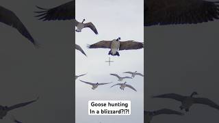 BEST Goose Hunt in Field Snowy with CLOSE birds goose waterfowl shortsvideo shorts gopro [upl. by Jonati]