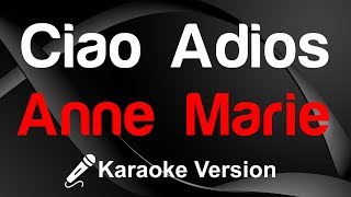 🎤 Anne Marie  Ciao Adios Karaoke instrumental [upl. by Iatnohs264]