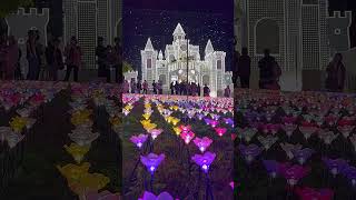 Ashikaga Flower Park Illumination illumination music japan [upl. by Lombardi860]