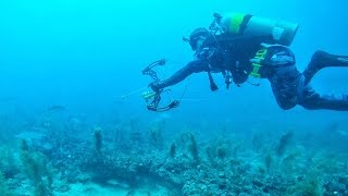 OCEAN BOWFISHING 75 FT DEEP Bowmar Bowhunting [upl. by Herculie565]