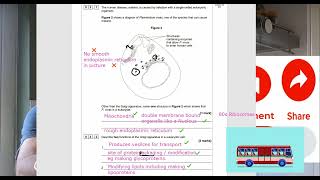 ALevel Biology paper 1 2023 Question 3 walkthrough Eukaryotic cells and natural selection [upl. by Waterer163]