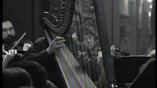 Albrechtsberger Harp concerto [upl. by Anuayek]