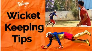 Wicket Keeping  Tips amp Drills  【తెలుగు】 [upl. by Tranquada39]