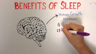 Sleep 1 Importance and Benefits of Sleep [upl. by Dnartreb]