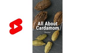 All About Cardamom Shorts [upl. by Sussi]