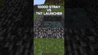 Stray vs TNT güllesi minecraft shorts tnt [upl. by Dolly140]