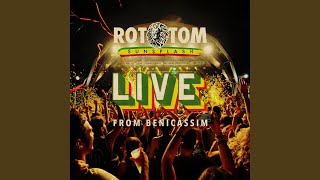 Reggae Ambassador Live at Rototom Sunsplash [upl. by Kermie206]