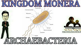 Kingdom moneradetailed account of Archaebacteria for NEET AIIMS JIPMER [upl. by Nebra]