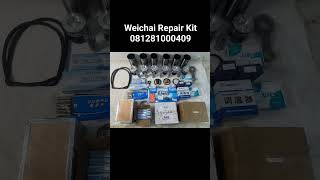 Engine repair kit weichai yuchai xinchai Shangcai 081281000409weichaienginerepairkit repairkit [upl. by Leacim]