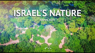 Israels Nature in 4K  Nahal Kziv reserves  North Israel HaZafon 2020 [upl. by Bel651]