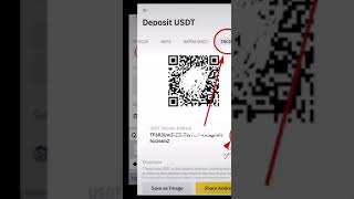 How to find the TRC20 wallet address in Binance [upl. by Mad942]