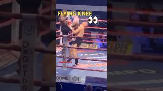 Perfectly Timed Flying Knee Strike shorts kickboxing mmashorts viralvideo fyp mma muaythai [upl. by Morentz]