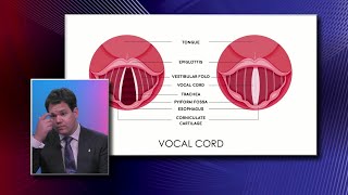 Anatomy of the Vocal Cords [upl. by Emiatej886]