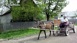 Paard en Wagen Roemenië [upl. by Assetal]