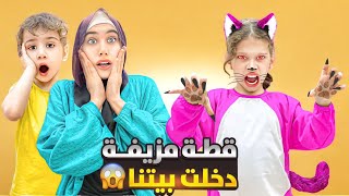 قطة مزيفة دخلت بيتنا طلعت شريرة 👿 حبست لولو واكلت العصفور😭😱 [upl. by Ahkihs352]