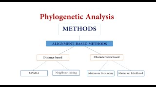 Methods of Phylogenetic Analysis [upl. by Lenwood]