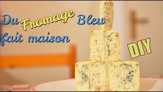 Faire du Fromage Bleu maison [upl. by Imim]