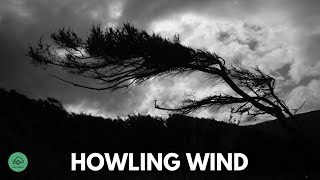 10 HR  HOWLING WIND sounds for sleeping amp relaxation  Dark Screen  Black Screen [upl. by Pinette]