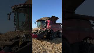 CASE IH AxialFlow 8240  OROS [upl. by Denn700]